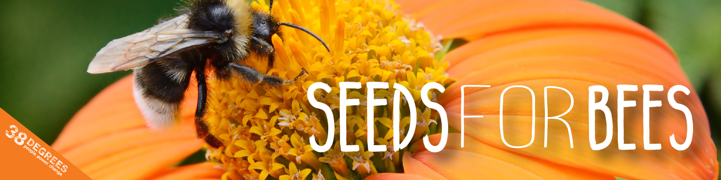 Bee Seeds Order Page Please Complete All Fields Ma