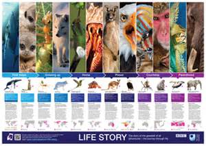 Free BBC Life Story Poster