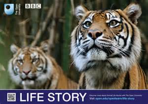 Free BBC Wildlife Poster
